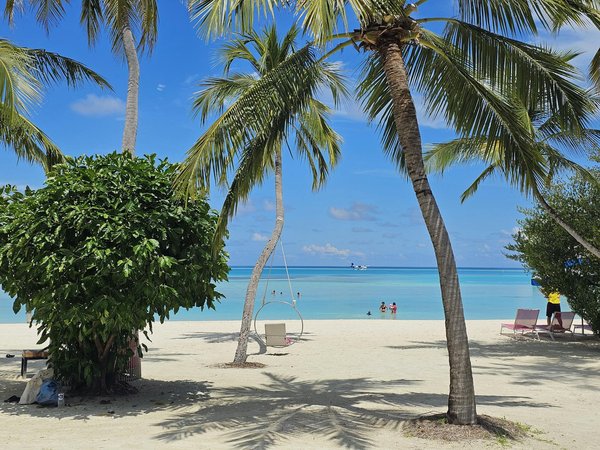 Découvrez les nouvelles tendances captivantes du tourisme à thème pour cette année